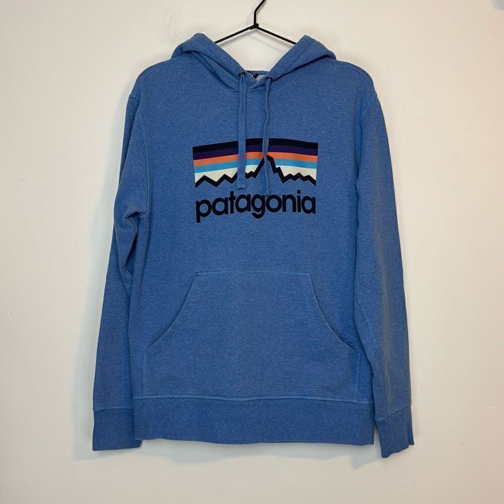 Patagonia M's Line Logo Midweight Pullover Hooded Sweatshirt XS